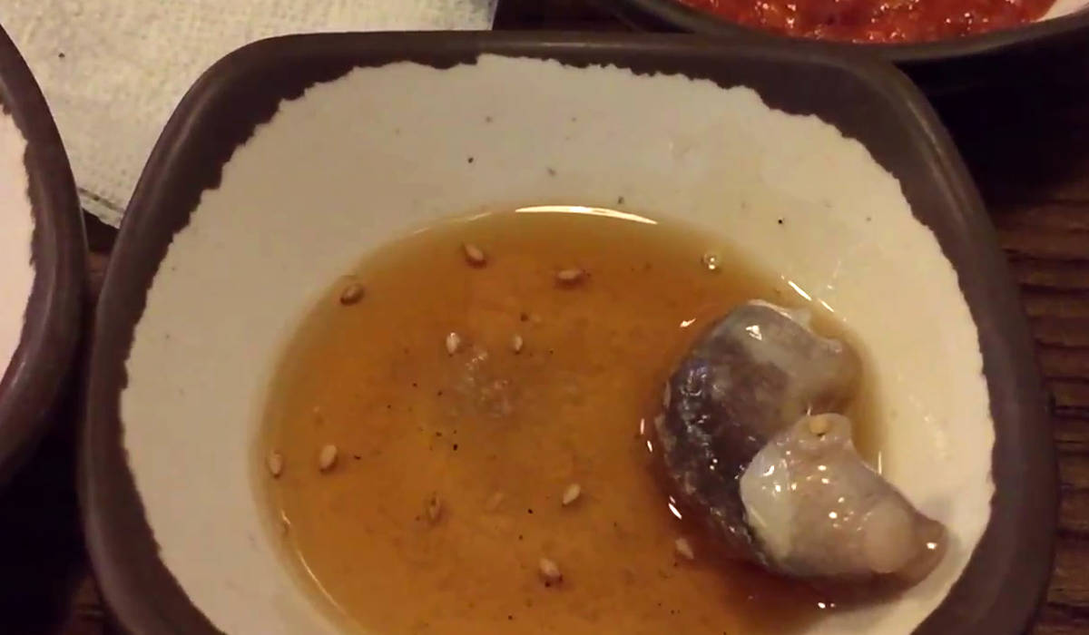 산낙지, live Korean octopus